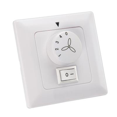 Wall Control Ceiling Fan and Light